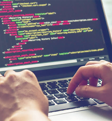 Website Design & Development